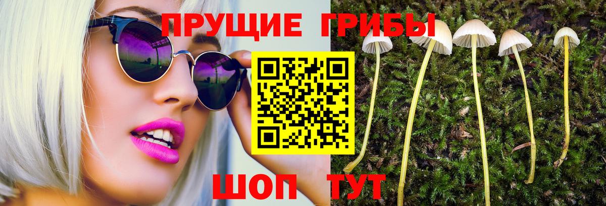 Галлюциногенные грибы GOLDEN TEACHER  Галлюциногенные грибы мицелий  Вход с VPN  где продают   Петрозаводск 