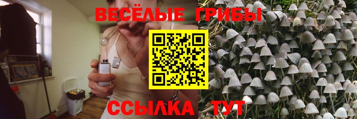 Псилоцибиновые грибы Magic Shrooms Петрозаводск